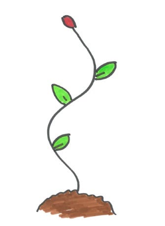 Innovation — but why, and how